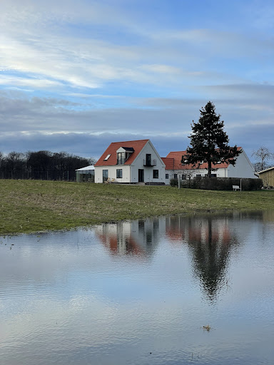 Nystedet