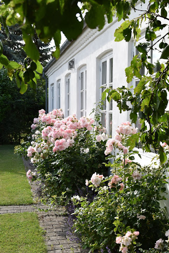 Udsigten Langø