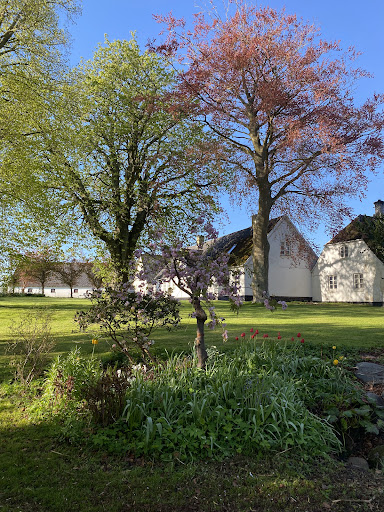 Pilemosegaard B&B