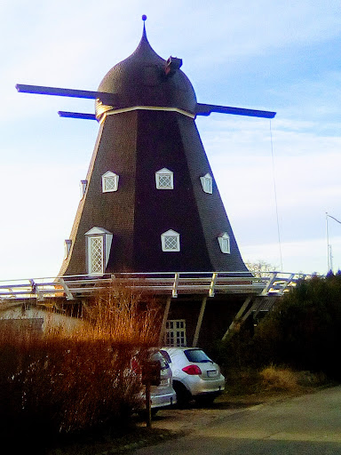 Rose-House